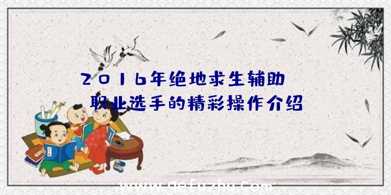 2016年绝地求生辅助CSGO职业选手的精彩操作介绍