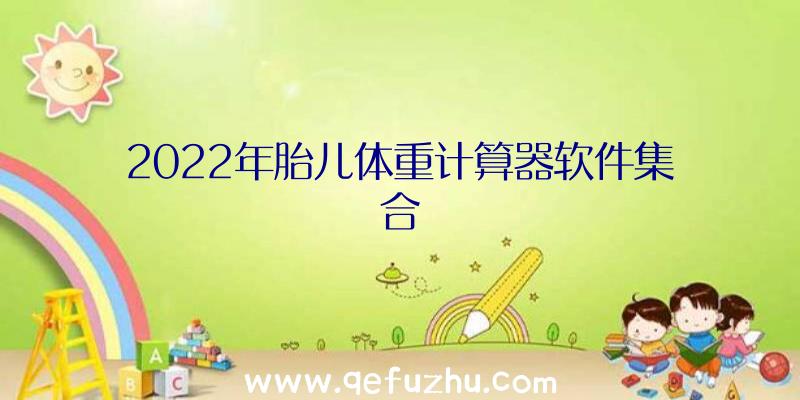 2022年胎儿体重计算器软件集合