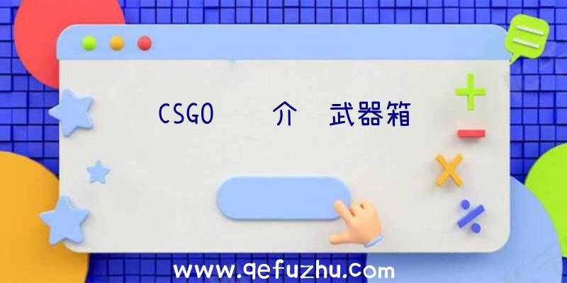 CSGO详细介绍武器箱