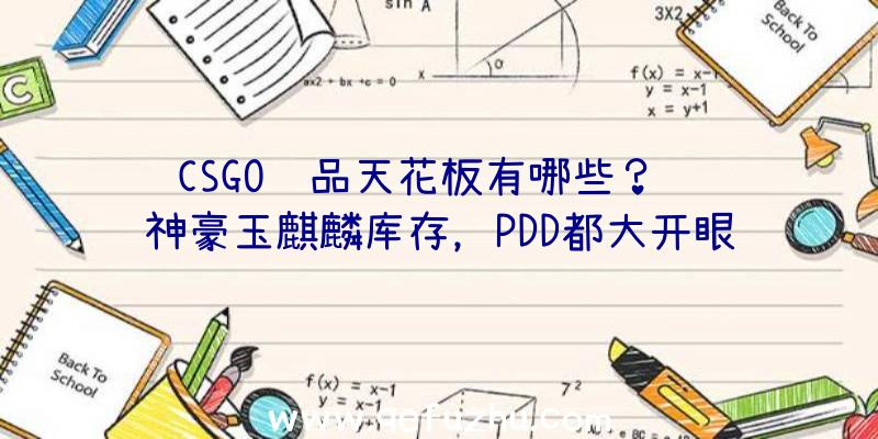 CSGO饰品天花板有哪些？顶级神豪玉麒麟库存，PDD都大开眼界