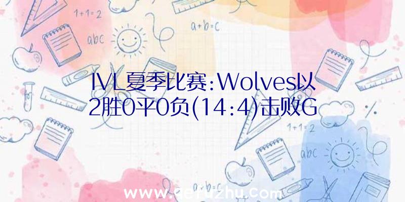 IVL夏季比赛:Wolves以2胜0平0负(14:4)击败G