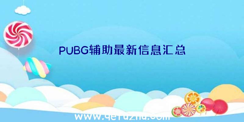 PUBG辅助最新信息汇总