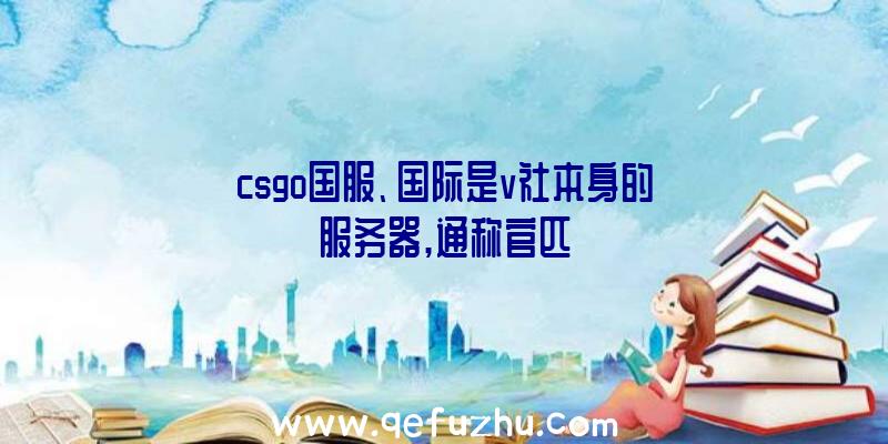 csgo国服、国际是v社本身的服务器,通称官匹