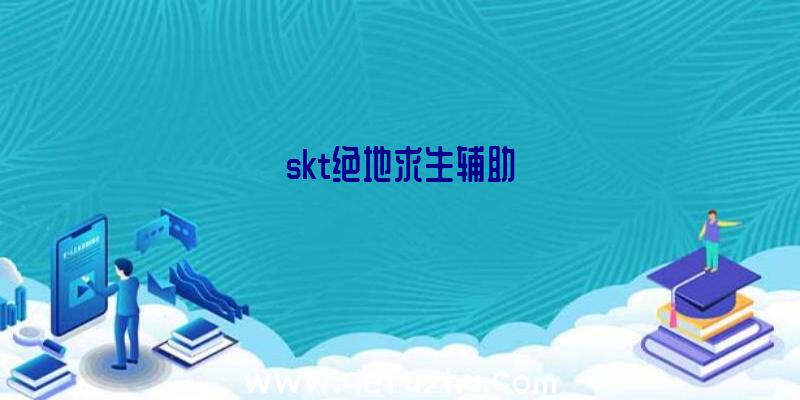 skt绝地求生辅助