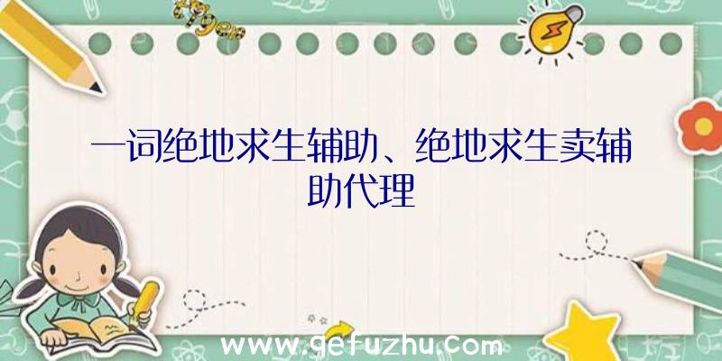 一词绝地求生辅助、绝地求生卖辅助代理