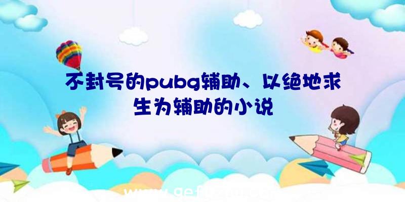 不封号的pubg辅助、以绝地求生为辅助的小说