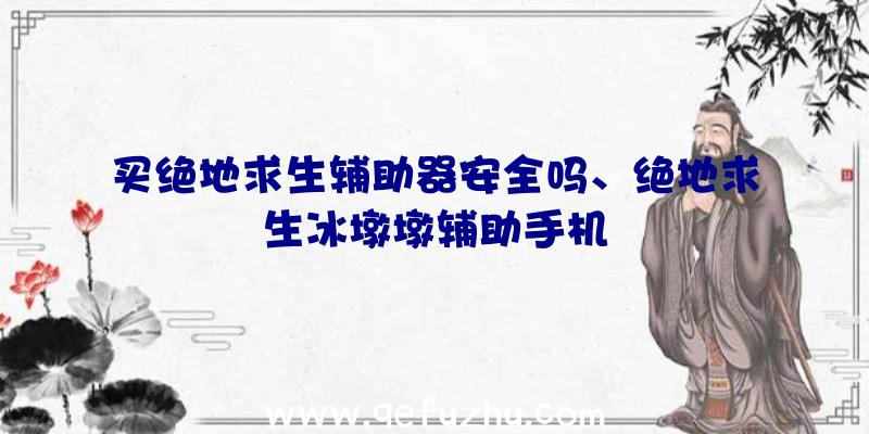 买绝地求生辅助器安全吗、绝地求生冰墩墩辅助手机