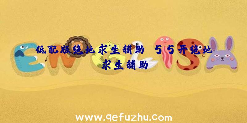 低配版绝地求生辅助、55开绝地求生辅助