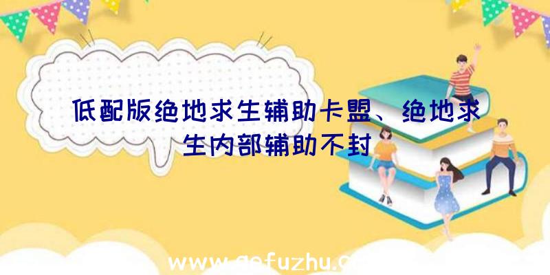 低配版绝地求生辅助卡盟、绝地求生内部辅助不封