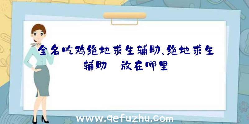 全名吃鸡绝地求生辅助、绝地求生辅助