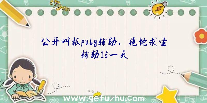 公开叫板pubg辅助、绝地求生辅助15一天