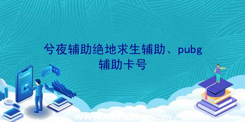 兮夜辅助绝地求生辅助、pubg辅助卡号