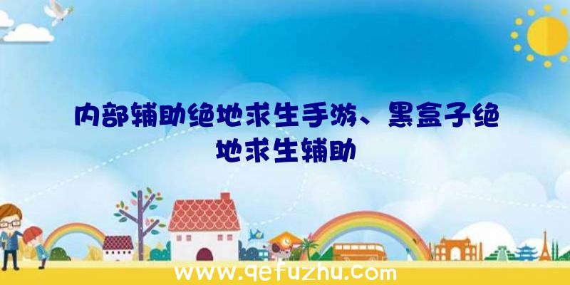 内部辅助绝地求生手游、黑盒子绝地求生辅助