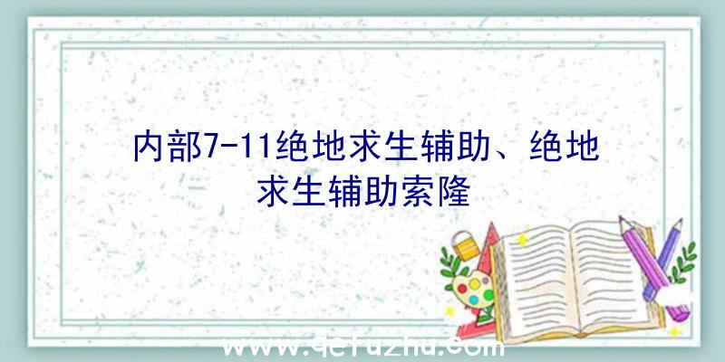 内部7-11绝地求生辅助、绝地求生辅助索隆