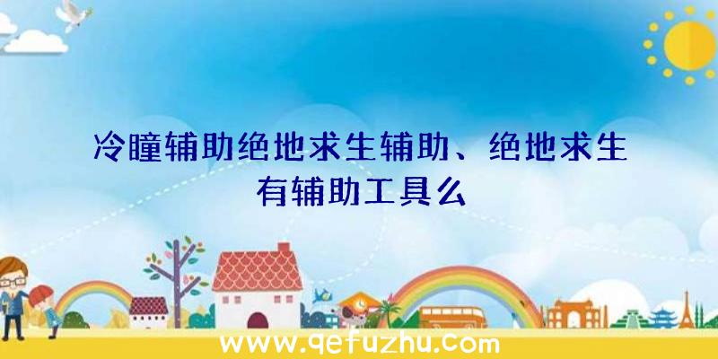 冷瞳辅助绝地求生辅助、绝地求生有辅助工具么