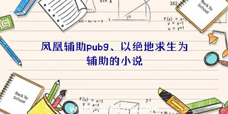 凤凰辅助pubg、以绝地求生为辅助的小说