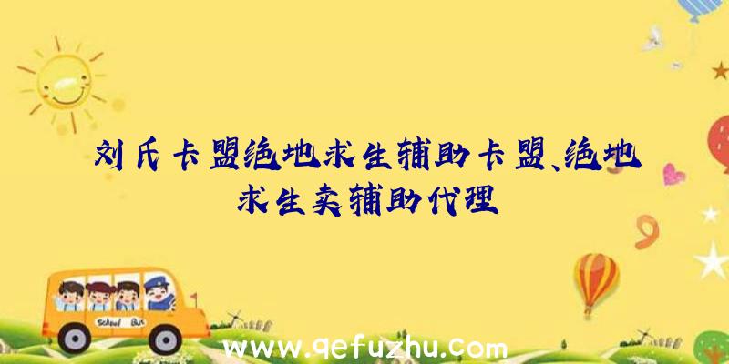 刘氏卡盟绝地求生辅助卡盟、绝地求生卖辅助代理