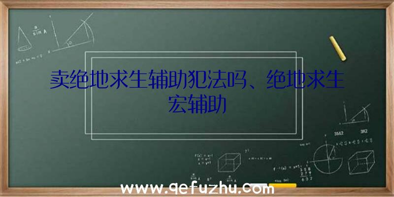 卖绝地求生辅助犯法吗、绝地求生宏辅助