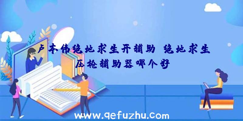 卢本伟绝地求生开辅助、绝地求生压枪辅助器哪个好