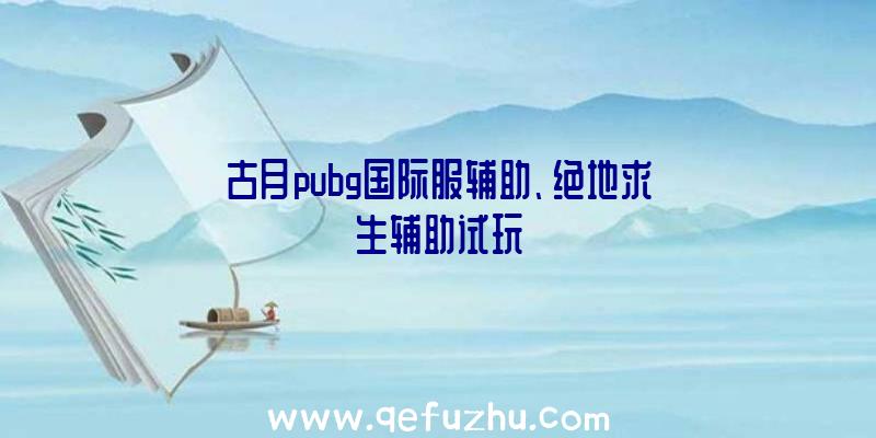 古月pubg国际服辅助、绝地求生辅助试玩