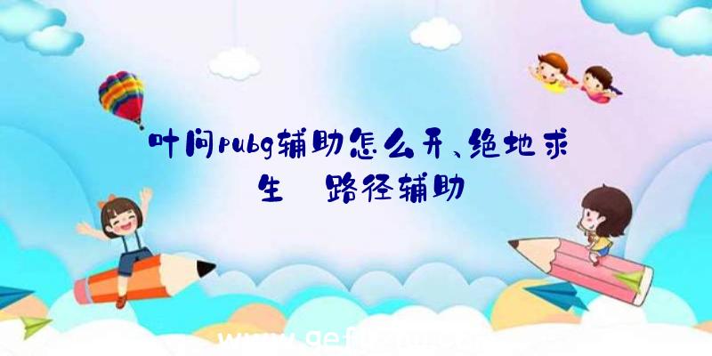 叶问pubg辅助怎么开、绝地求生