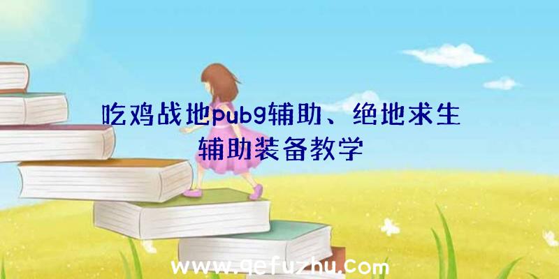 吃鸡战地pubg辅助、绝地求生辅助装备教学