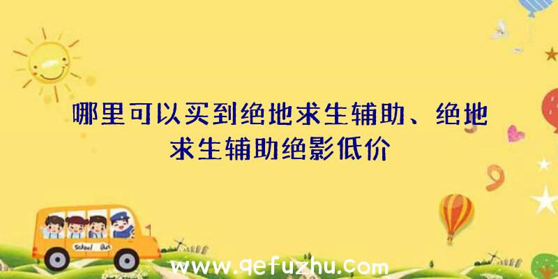 哪里可以买到绝地求生辅助、绝地求生辅助绝影低价