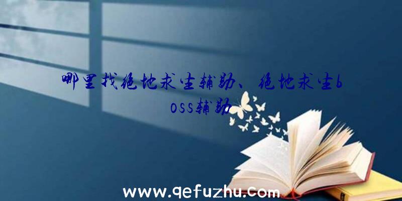 哪里找绝地求生辅助、绝地求生boss辅助