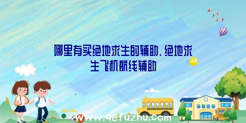 哪里有买绝地求生的辅助、绝地求生飞机航线辅助