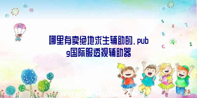 哪里有卖绝地求生辅助的、pubg国际服透视辅助器