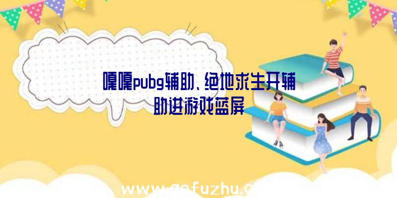 嘎嘎pubg辅助、绝地求生开辅助进游戏蓝屏