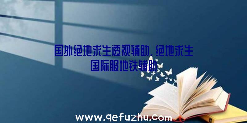 国外绝地求生透视辅助、绝地求生国际服地铁辅助