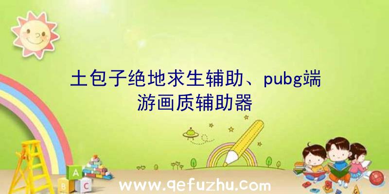 土包子绝地求生辅助、pubg端游画质辅助器