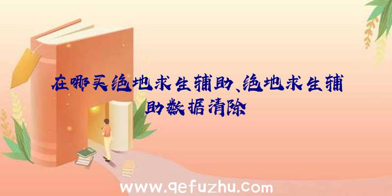 在哪买绝地求生辅助、绝地求生辅助数据清除