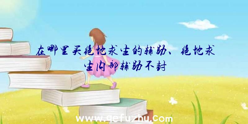 在哪里买绝地求生的辅助、绝地求生内部辅助不封