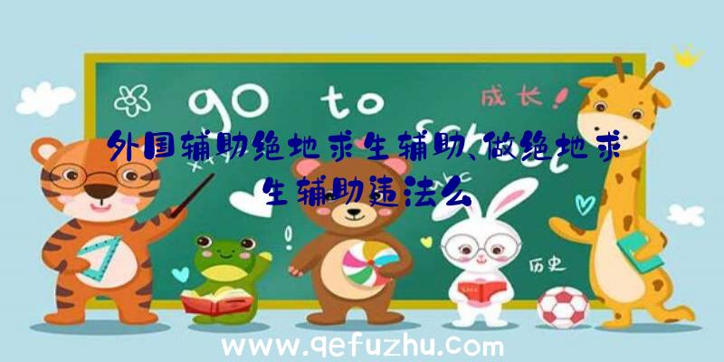 外国辅助绝地求生辅助、做绝地求生辅助违法么