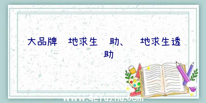 大品牌绝地求生辅助、绝地求生透辅助