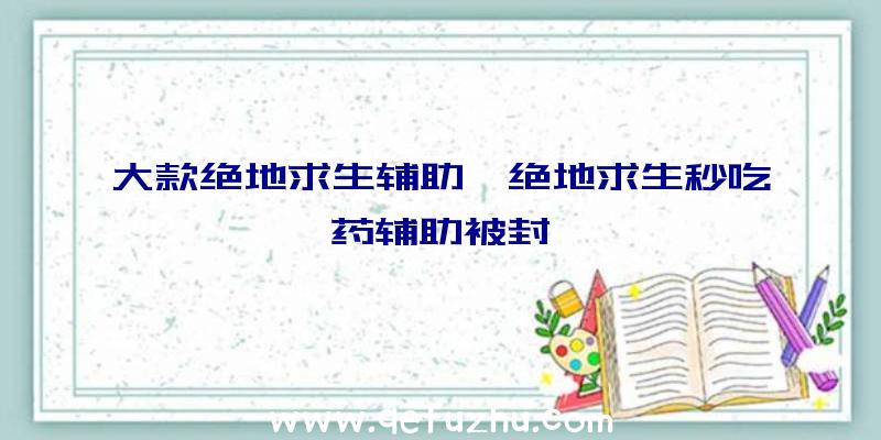 大款绝地求生辅助、绝地求生秒吃药辅助被封