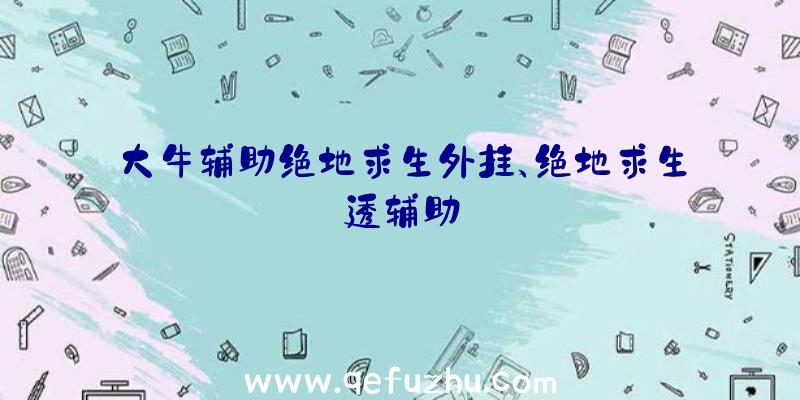 大牛辅助绝地求生外挂、绝地求生透辅助