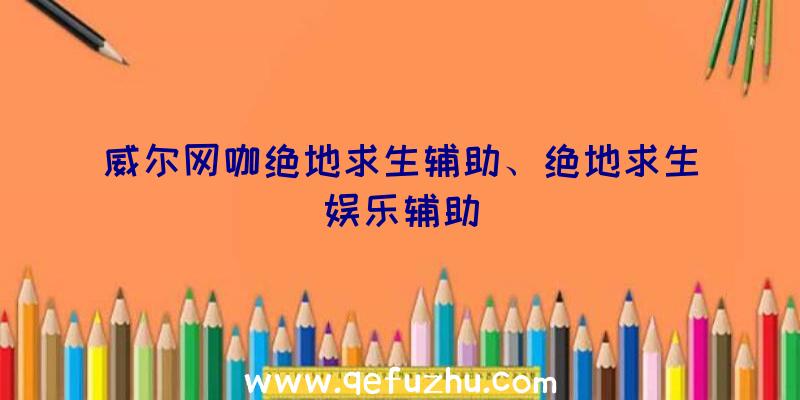 威尔网咖绝地求生辅助、绝地求生娱乐辅助