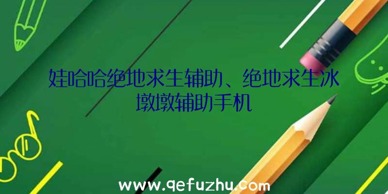 娃哈哈绝地求生辅助、绝地求生冰墩墩辅助手机