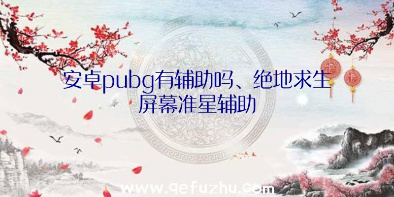 安卓pubg有辅助吗、绝地求生屏幕准星辅助