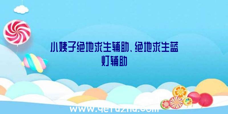 小姨子绝地求生辅助、绝地求生蓝灯辅助