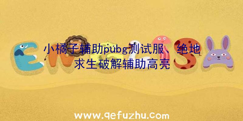 小橘子辅助pubg测试服、绝地求生破解辅助高亮