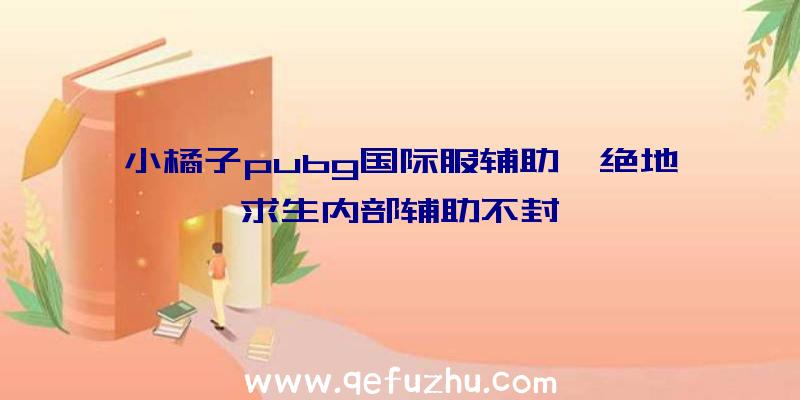 小橘子pubg国际服辅助、绝地求生内部辅助不封