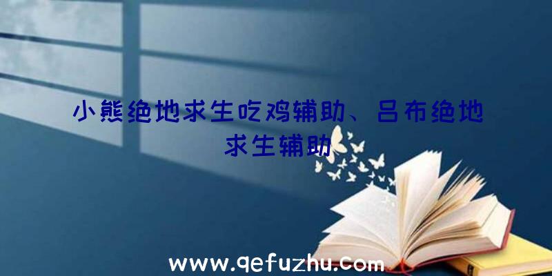 小熊绝地求生吃鸡辅助、吕布绝地求生辅助