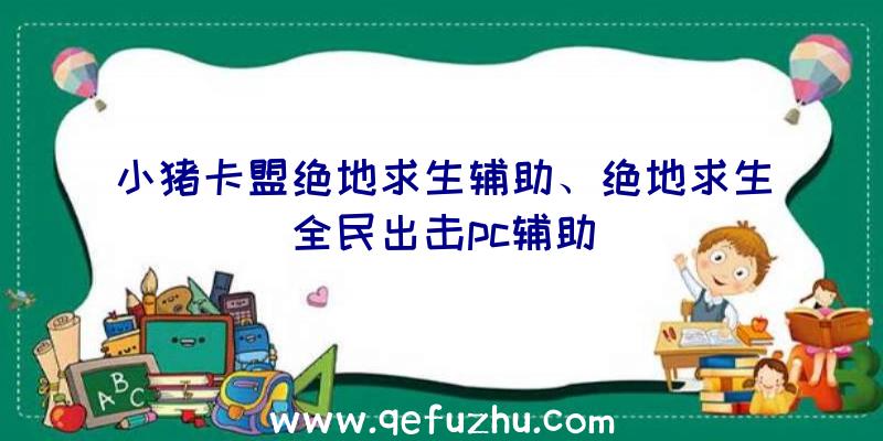 小猪卡盟绝地求生辅助、绝地求生全民出击pc辅助