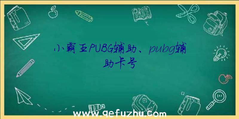 小霸王PUBG辅助、pubg辅助卡号