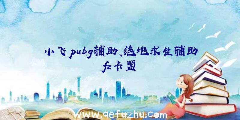 小飞pubg辅助、绝地求生辅助fz卡盟