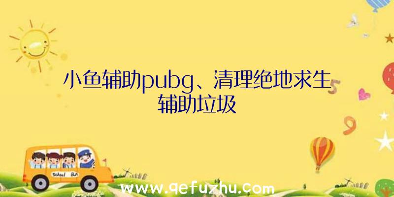 小鱼辅助pubg、清理绝地求生辅助垃圾